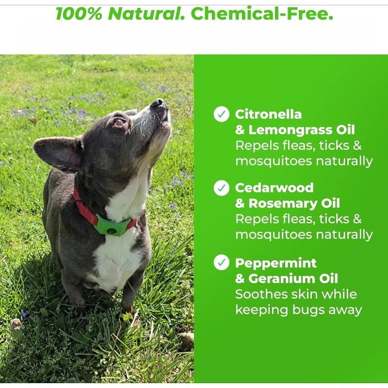 Waterproof Chemical-Free Tick Repellent Tag