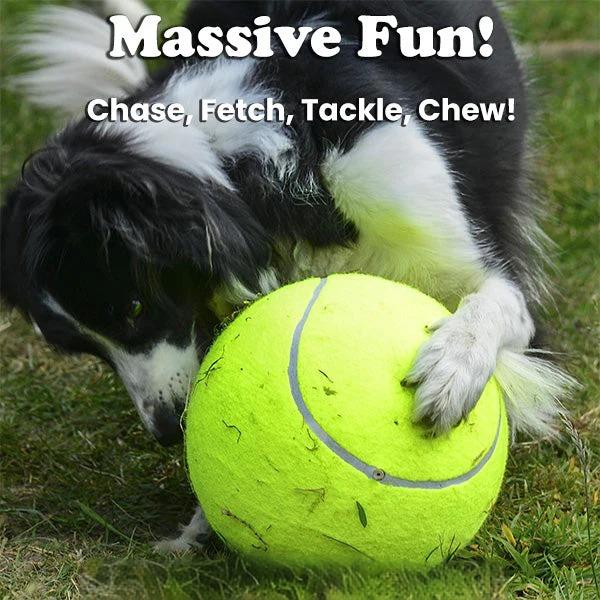 The Big Mama - Dog Tennis Ball
